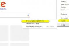 Google Chrome'i pistikprogrammid: kuidas blokeerida, lubada või keelata Pluginat ei laadita Chrome'is